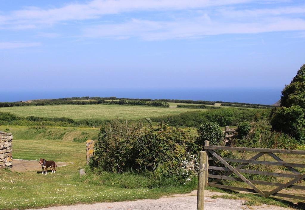 Bed and Breakfast Higher Tresmorn Farm Crackington Haven Экстерьер фото